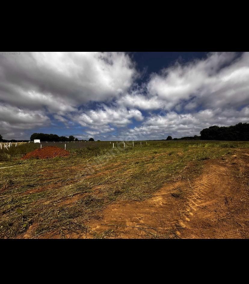 ÇATALCA / ÇİFTLİKKÖY 400 M2 TARLA